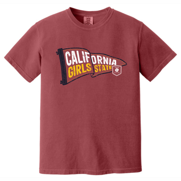 ALA CAGS Pennant Comfort Colors